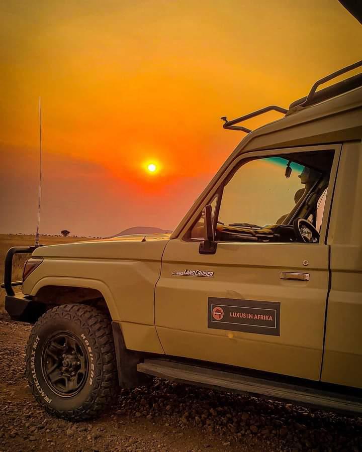 Tanzania safari