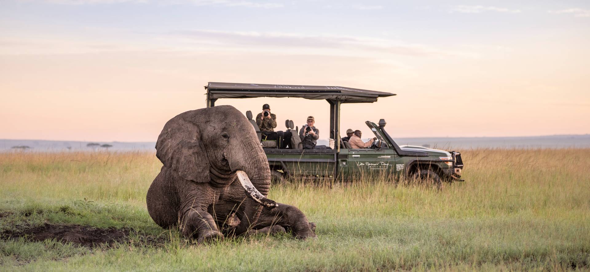 Tanzania safari