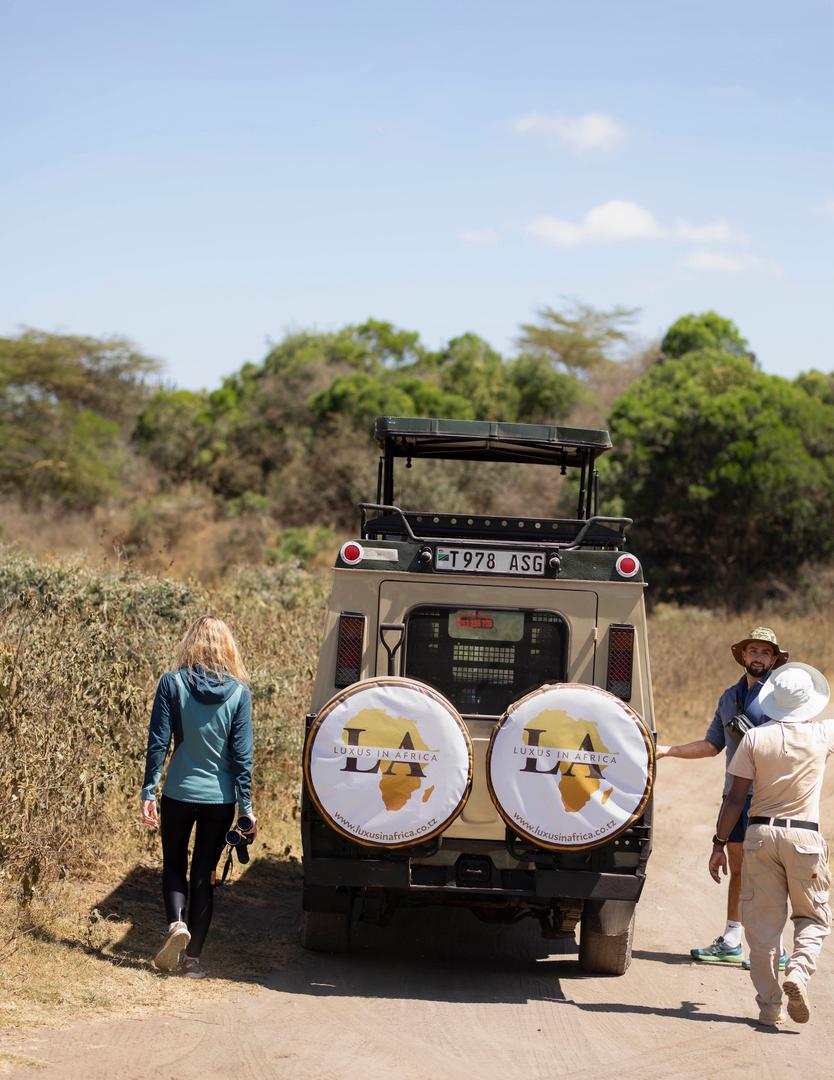 Tanzania safari