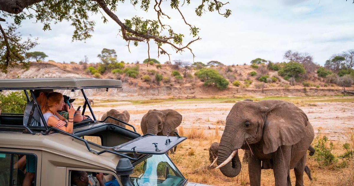 Tanzania safari