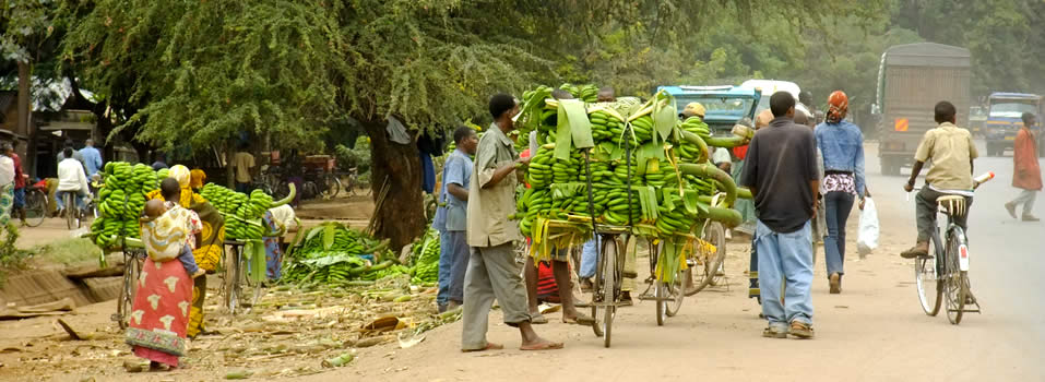 MTO WA MBU CULTURAL TOUR DAY TRIP