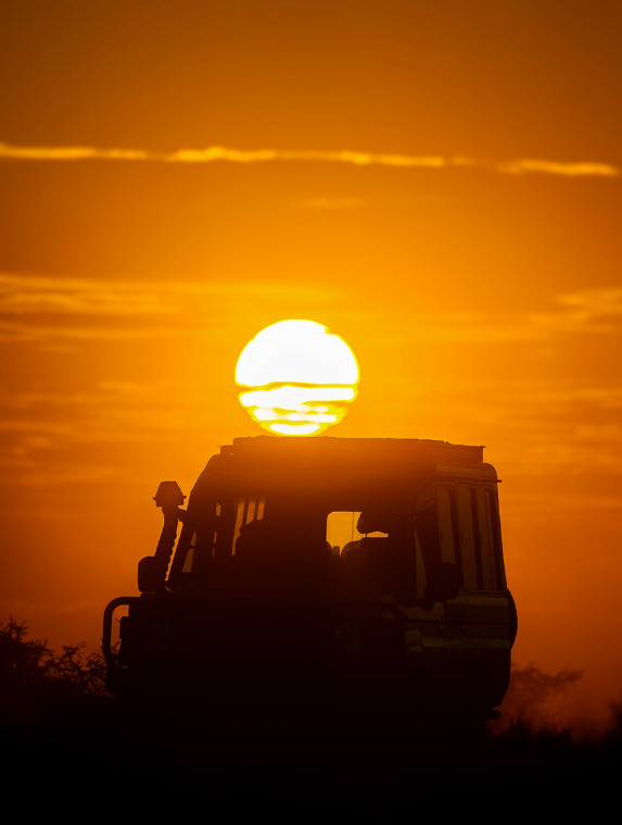 11 DAYS TANZANIA SAFARI & KILIMANJARO HIKING ADVENTURE