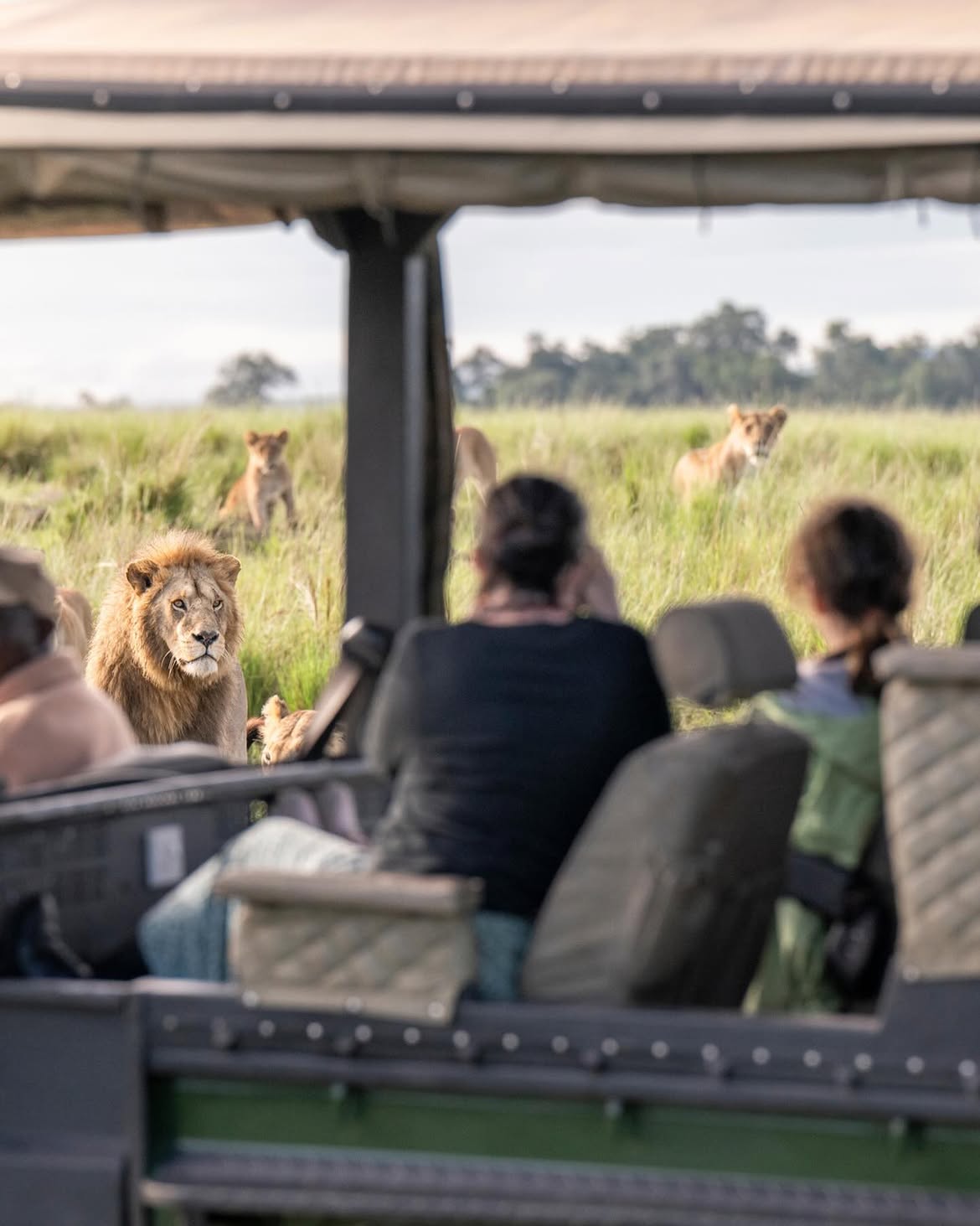 13 Day Luxury Photographic Safari | Bespoke Wildlife & Photography Adventure