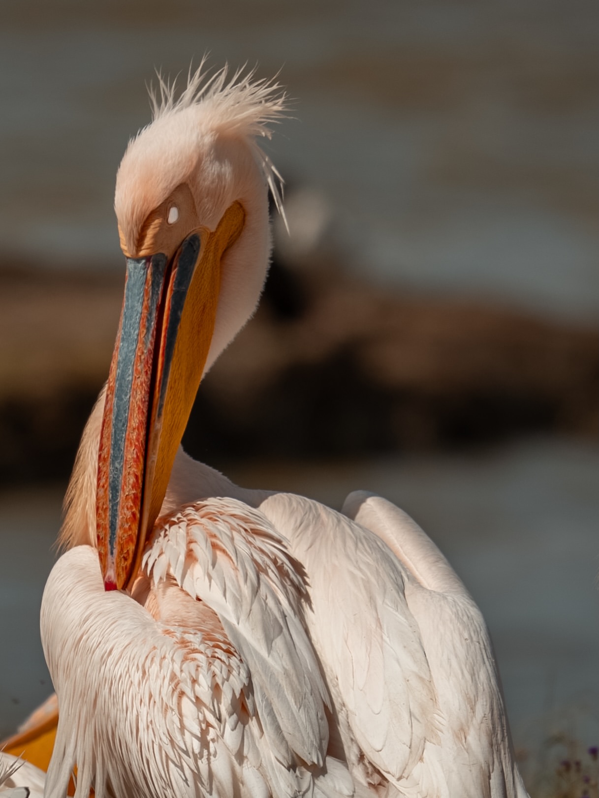 Lake Natron Day Trip -Flamingos, Waterfalls & Otherworldly Landscapes