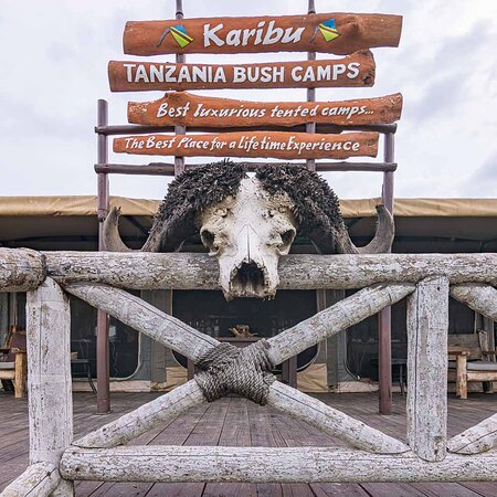 Accommodation at Ang'ata tented camp