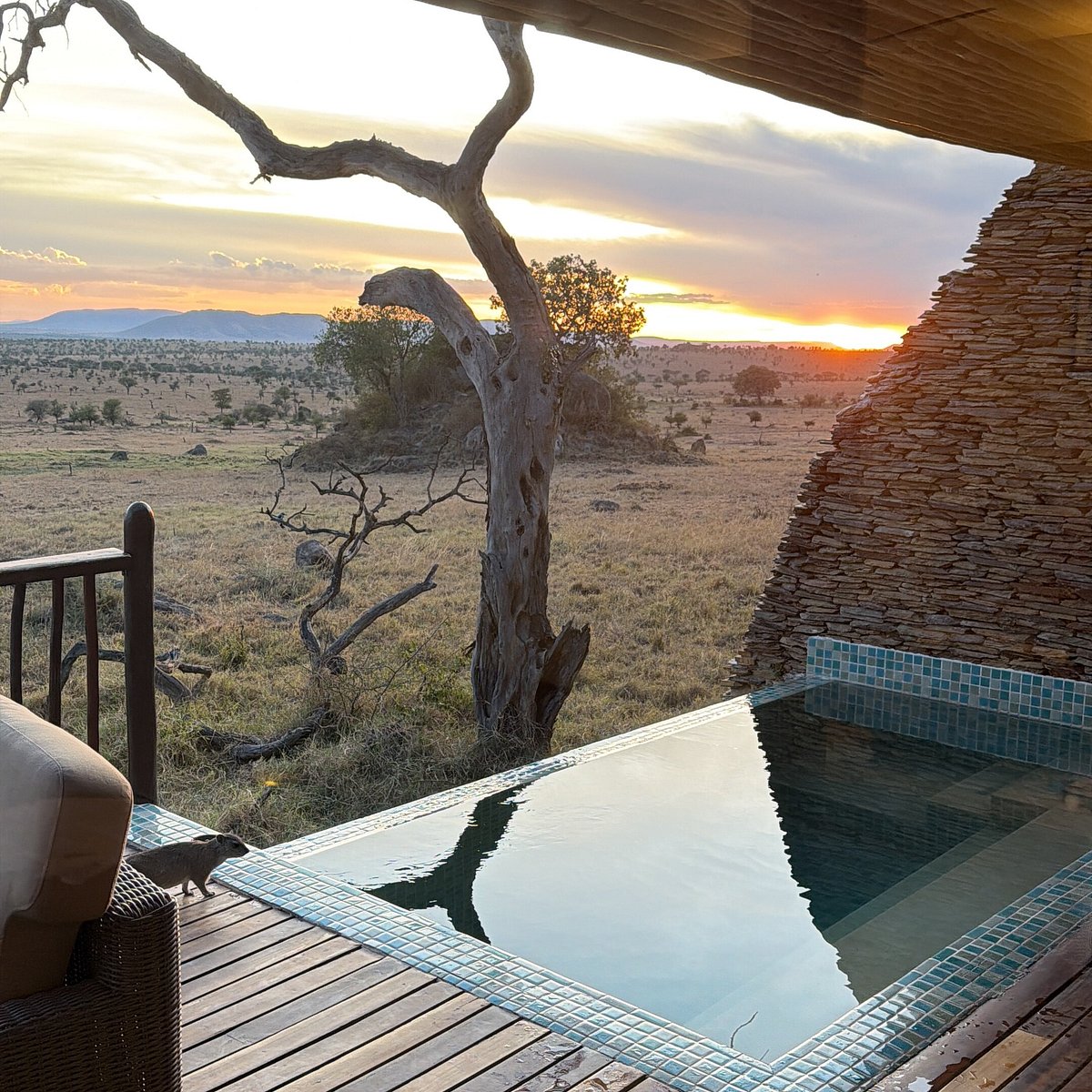 Accommodation at Serena Ngorongoro Lodge   V