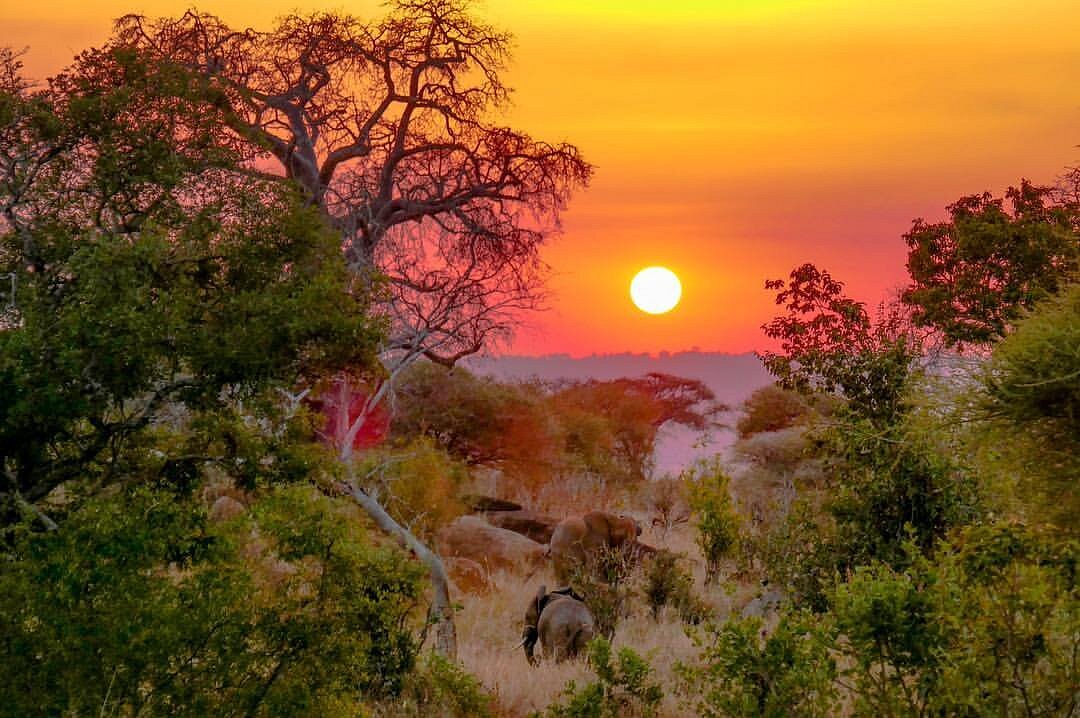 Accommodation at Marera Valley