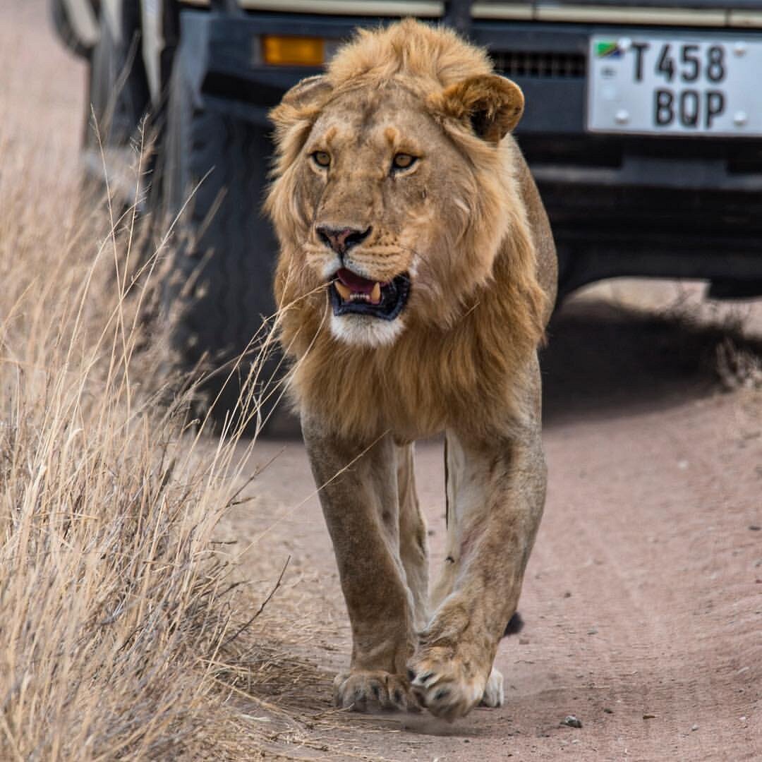 Accommodation at Sg premium resort