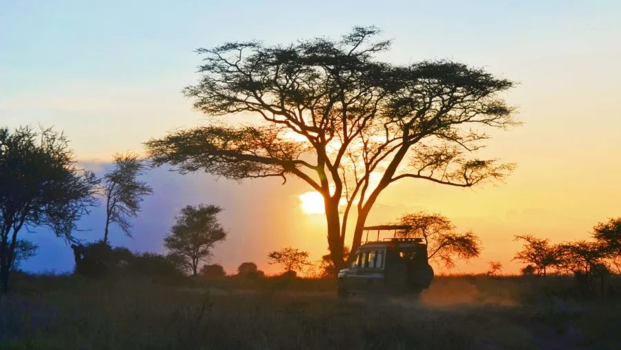 Accommodation at Dik Dik Campsite
